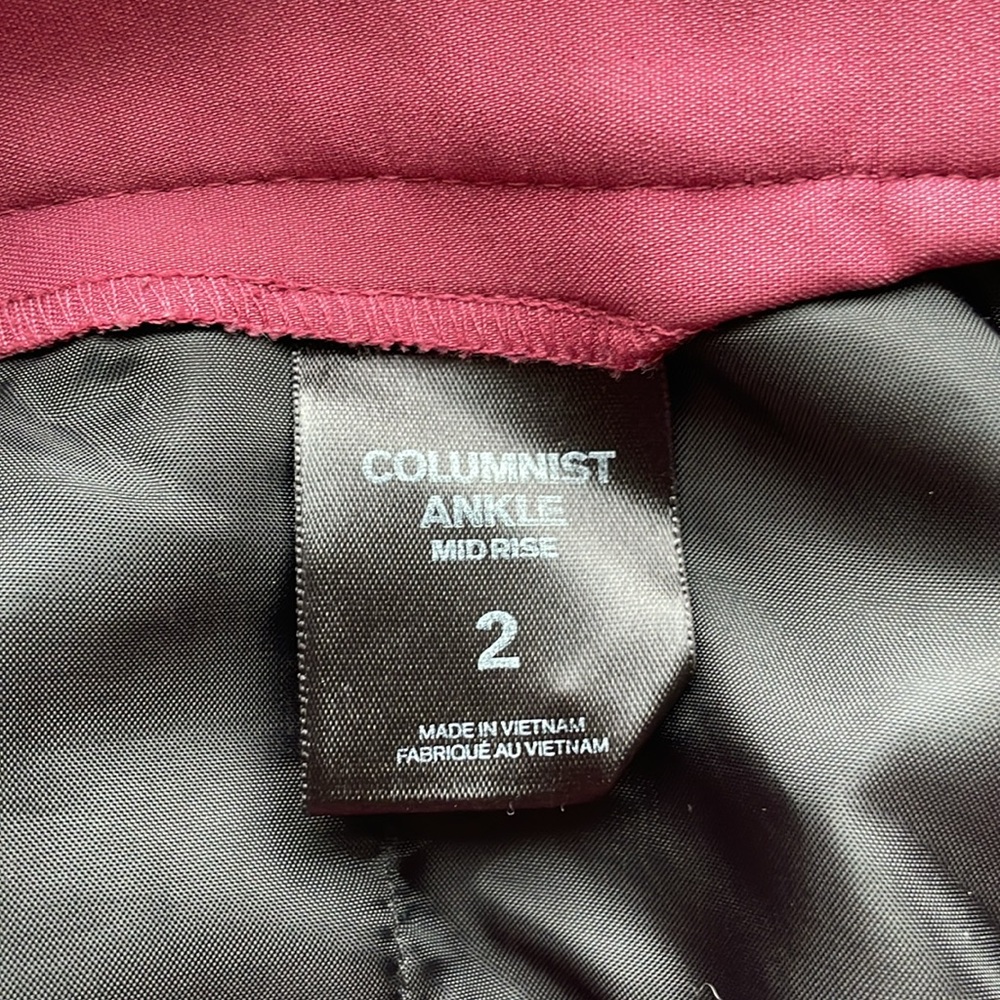 Express Columnist Pants Size 2 - image 4